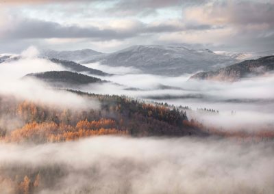 Helping Scottish Woodlands Ltd tell their story