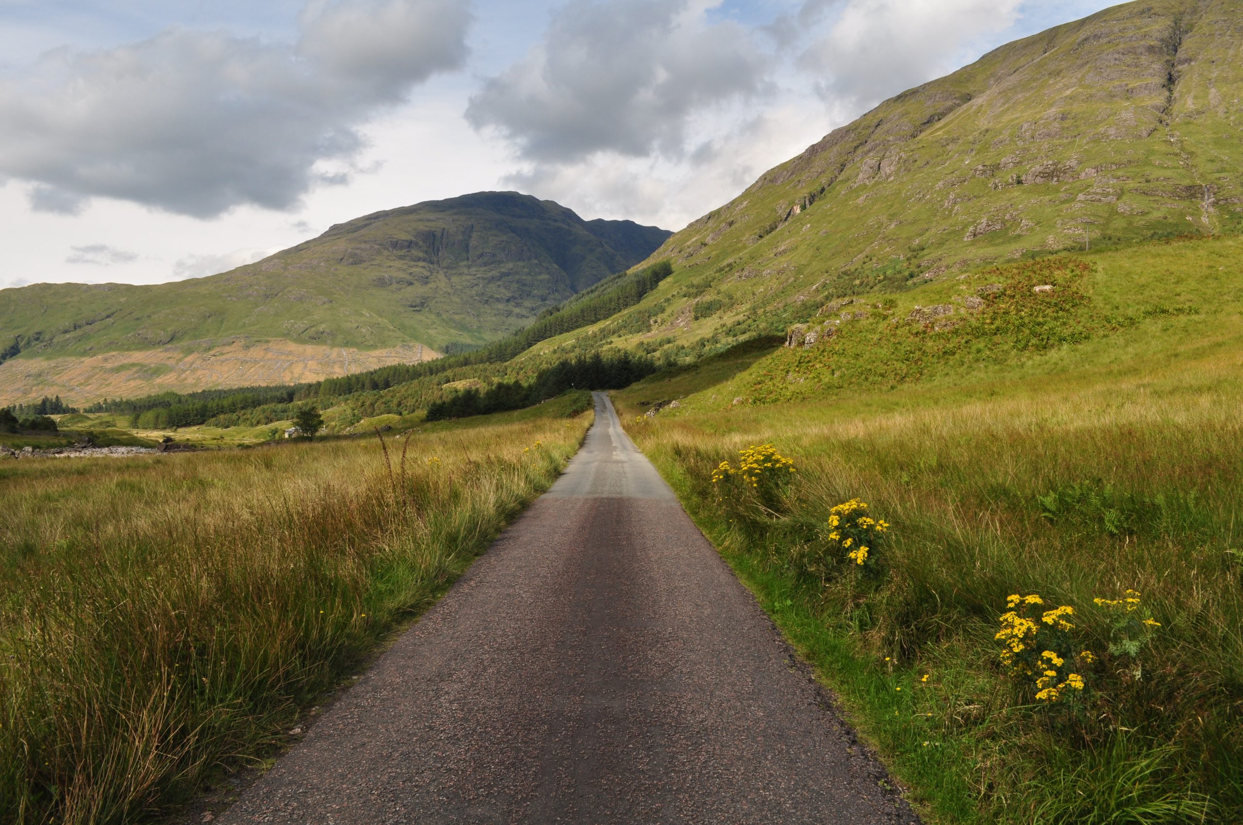 Narrow Road between Grass Fields